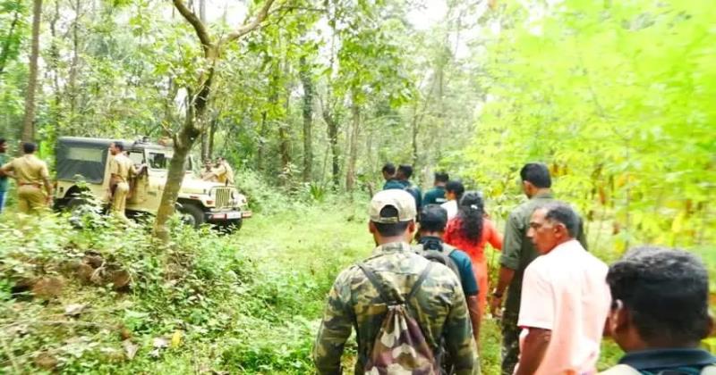 കണ്ണൂര്‍ ഇരിട്ടിയില്‍ ജനജീവിതത്തിന് ഭീഷണിയായി കടുവ ഇറങ്ങി; തുരത്താനുള്ള ശ്രമം തുടര്‍ന്ന് വനംവകുപ്പ് ഉദ്യോഗസ്ഥര്‍