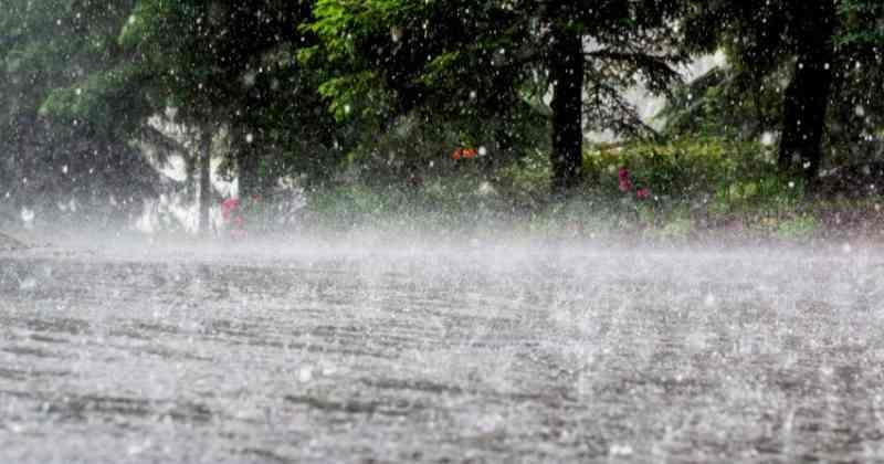  സംസ്ഥാനത്ത് തിങ്കള്‍ വരെ കനത്ത മഴ, ഇടിമിന്നല്‍ മുന്നറിയിപ്പ്; ഏഴ് ജില്ലകളില്‍ എല്ലോ അലര്‍ട്ട്