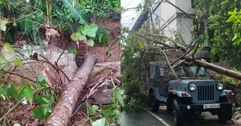 സംസ്ഥാനത്ത് കനത്ത മഴ; വിവിധയിടങ്ങളിലായി വൻ നാശനഷ്ടങ്ങൾ