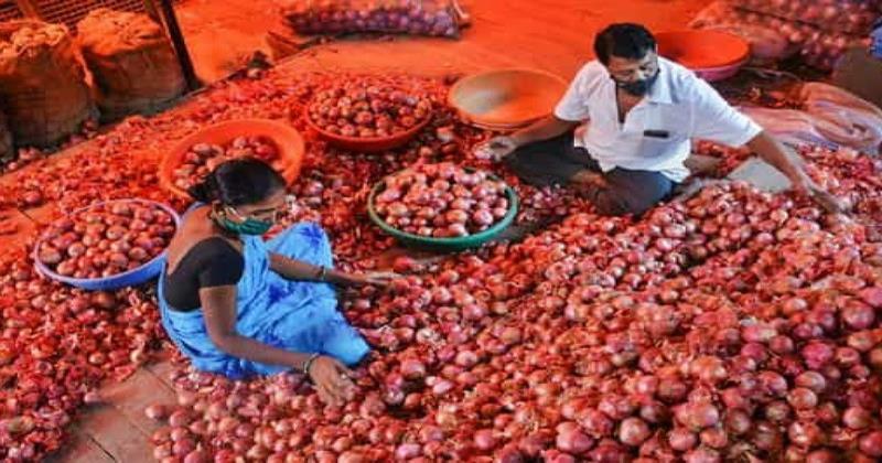 വിലക്കയറ്റം. കേന്ദ്രസർക്കാർ സവോള ഇറക്കുമതിയിൽ നിയന്ത്രണം വരുത്തി