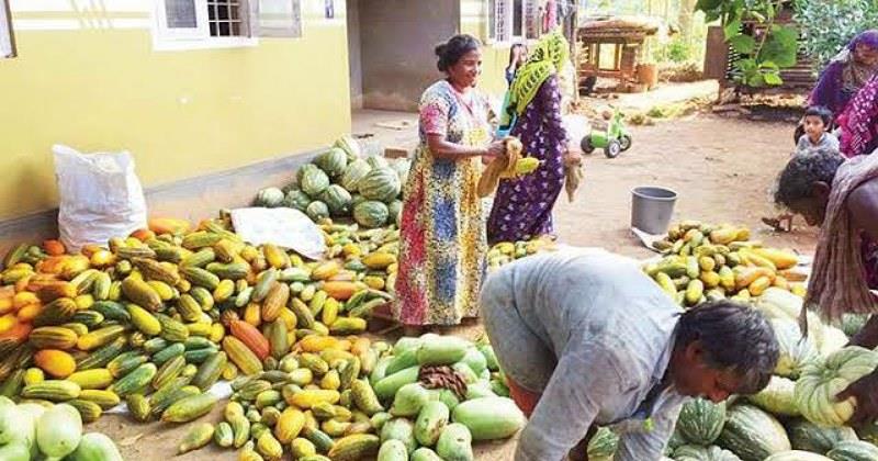 കര്‍ഷകര്‍ക്ക് ആശ്വാസം: സര്‍ക്കാർ പച്ചക്കറികൾക്ക് ഇന്ന് തറവില പ്രഖ്യാപിക്കും 